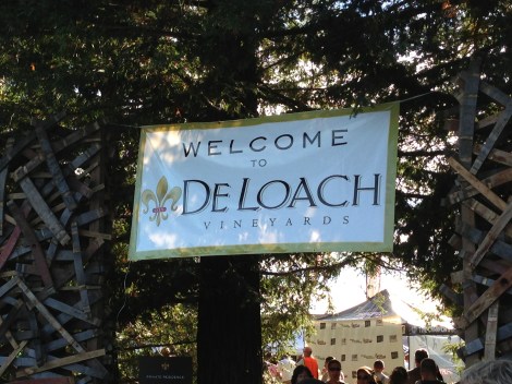 DeLoach Vineyards CA Trip 3
