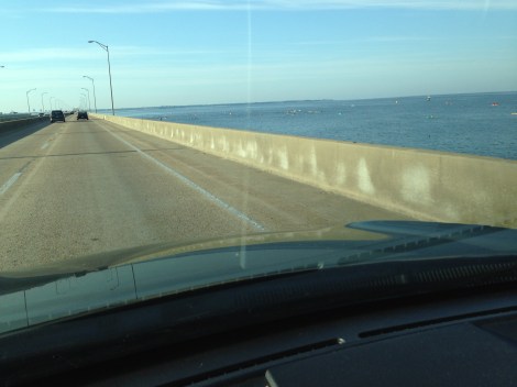 3 Mile Bridge Swim_21