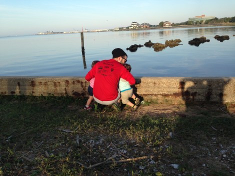 3 Mile Bridge Swim_3